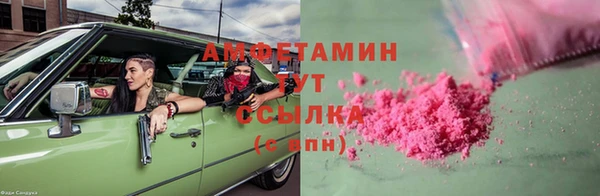 скорость Вяземский