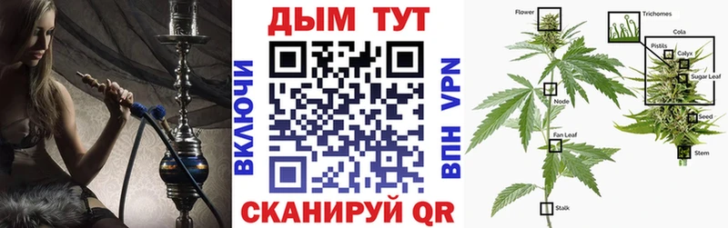 нарко площадка формула  Великий Устюг  Бошки марихуана Ganja 